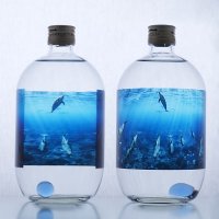 〈Mermaid〉Dolphin line_720ml