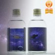 画像1: Ginga 〈Milky way〉Saturn -土星- 最高級純米大吟醸原酒 兵庫県産山田錦100%〈数量限定〉（300ml） (1)